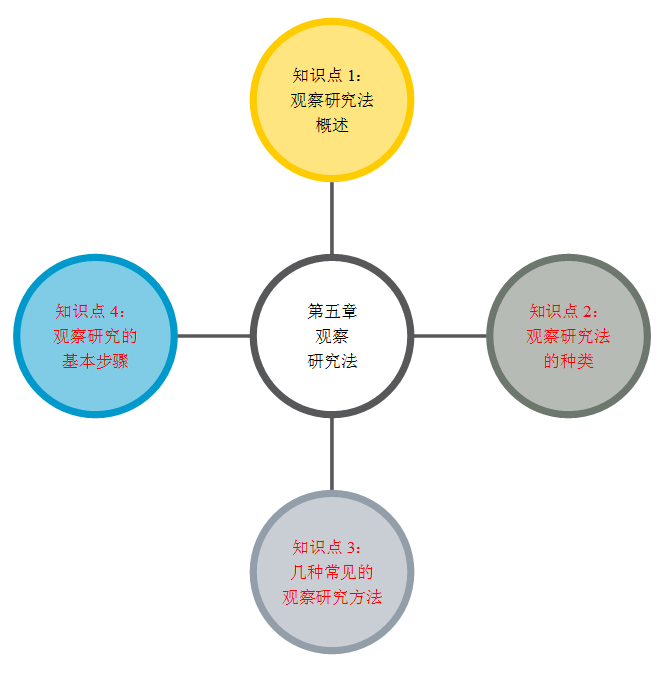 射线图